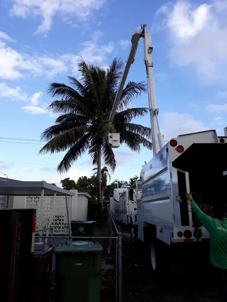 Affordable lawn mowing service for outdoor upgrades in Hialeah, FL by Forte Tree Trimming