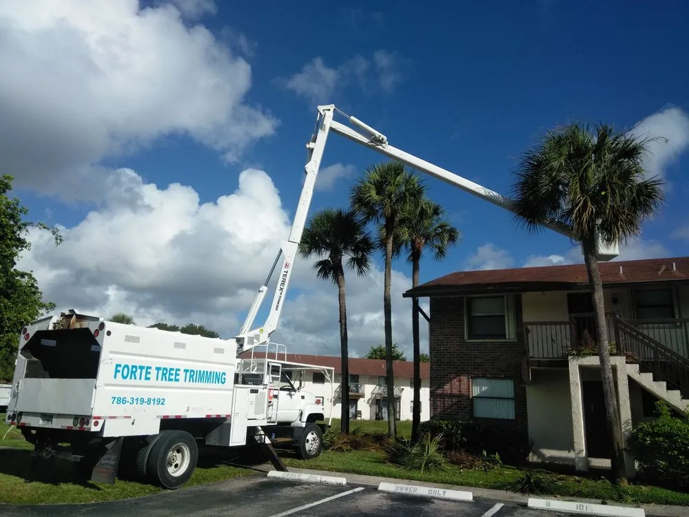 Custom outdoor landscaping experts serving Hialeah, FL - Forte Tree Trimming