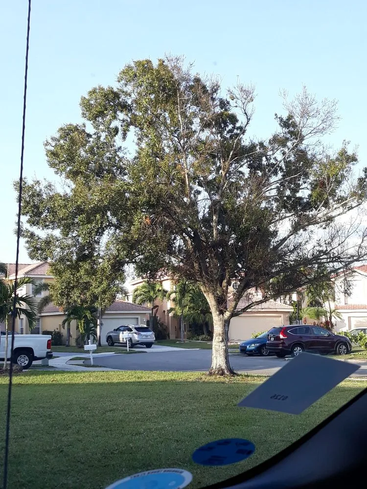 Expert landscaping services for homes in Hialeah, FL by Forte Tree Trimming