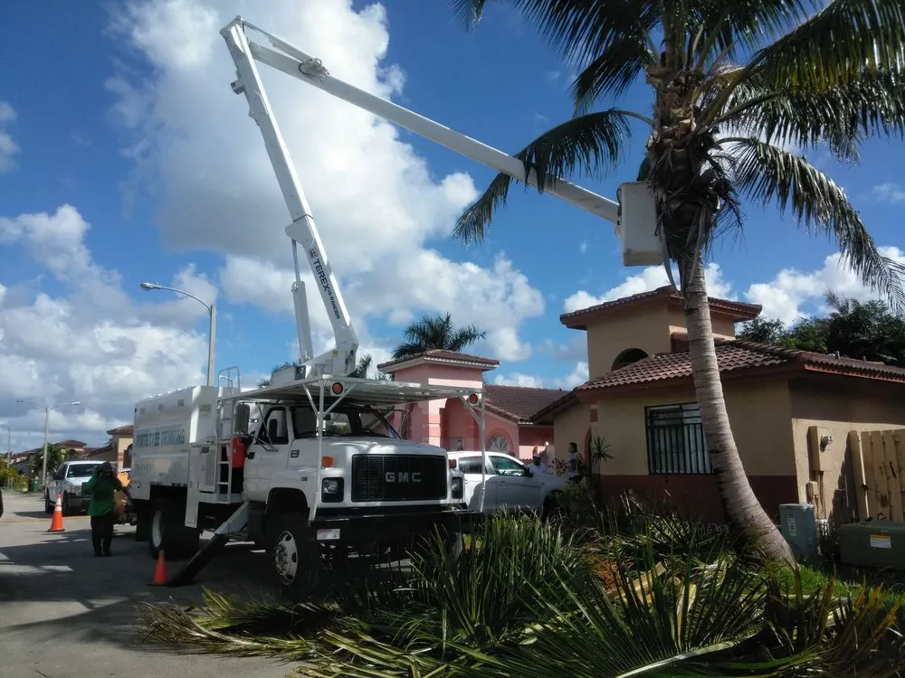 Local garden landscaping for homes across Hialeah, FL - Forte Tree Trimming