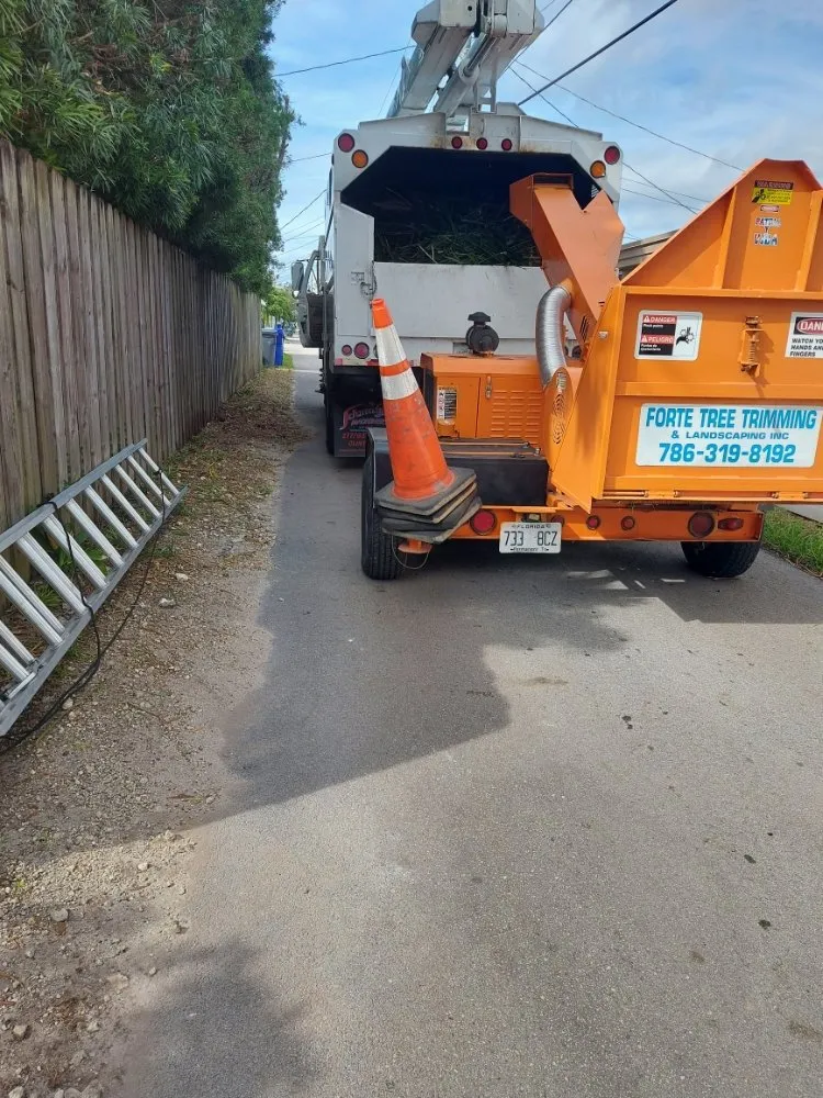 Custom landscape design in Hialeah, FL - Forte Tree Trimming