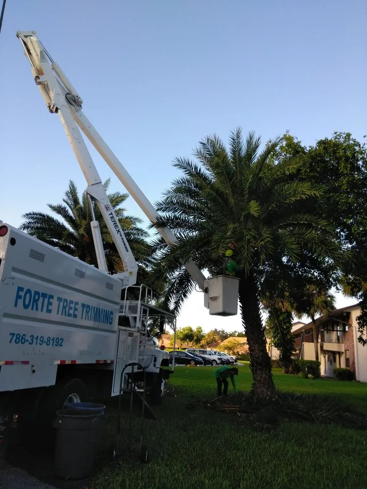 Professional yard maintenance for residential properties across Hialeah, FL - Forte Tree Trimming
