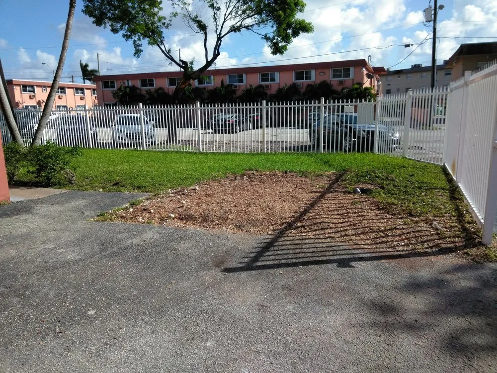 Trusted landscape design in Hialeah, FL - Forte Tree Trimming