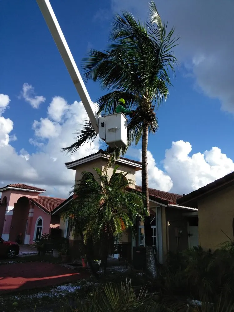 Reliable outdoor landscaping in Hialeah, FL - Forte Tree Trimming