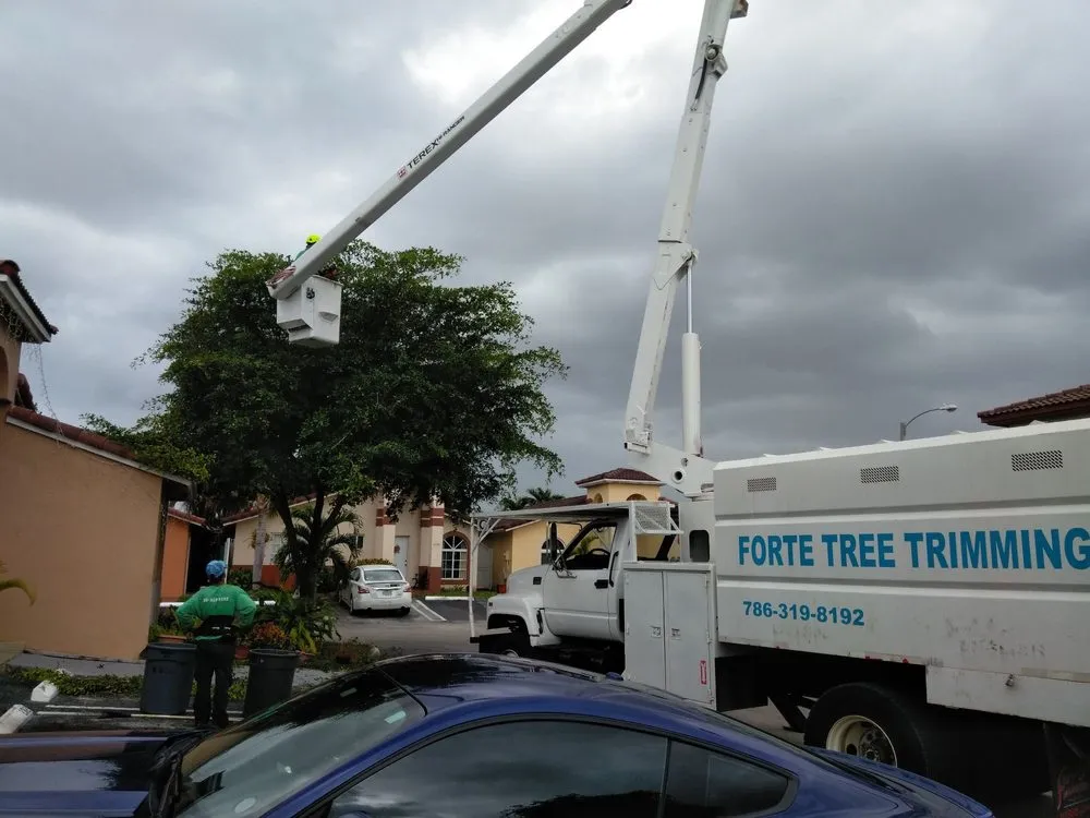 Professional landscape installation near you in Hialeah, FL by Forte Tree Trimming