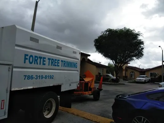 Forte Tree Trimming