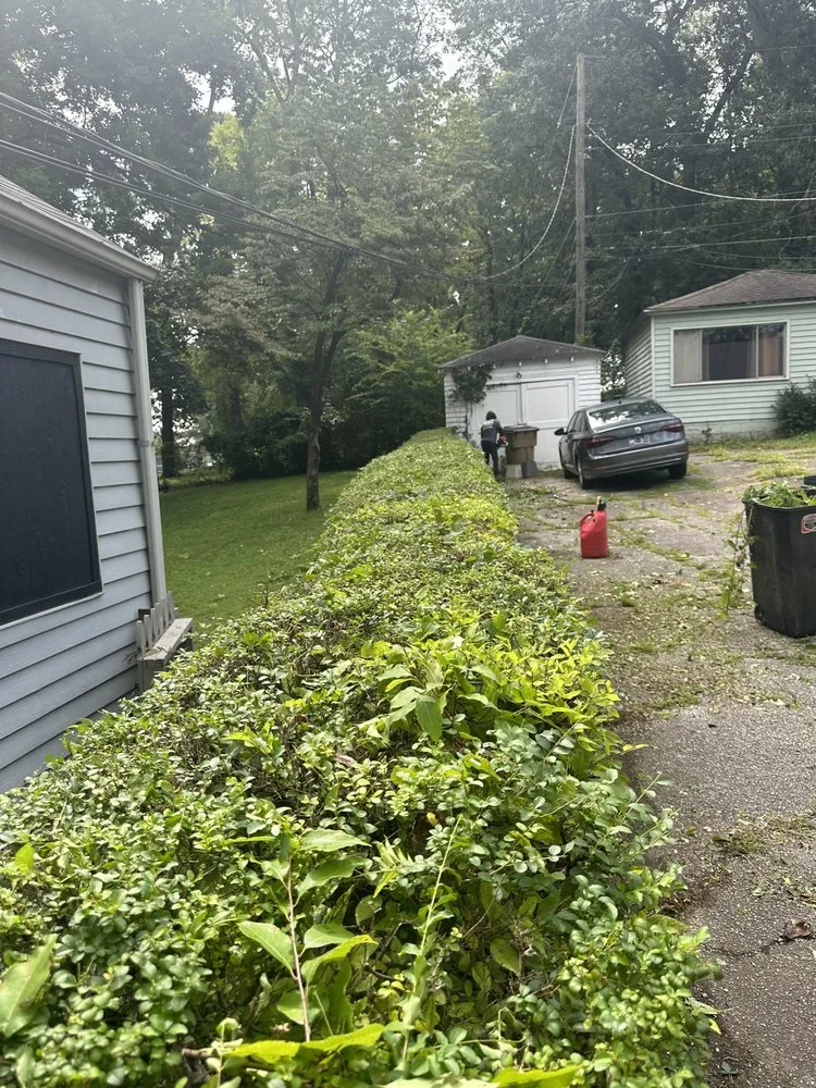 Local yard maintenance for beautiful yards in Knoxville, TN by Fortenberry's Landscaping