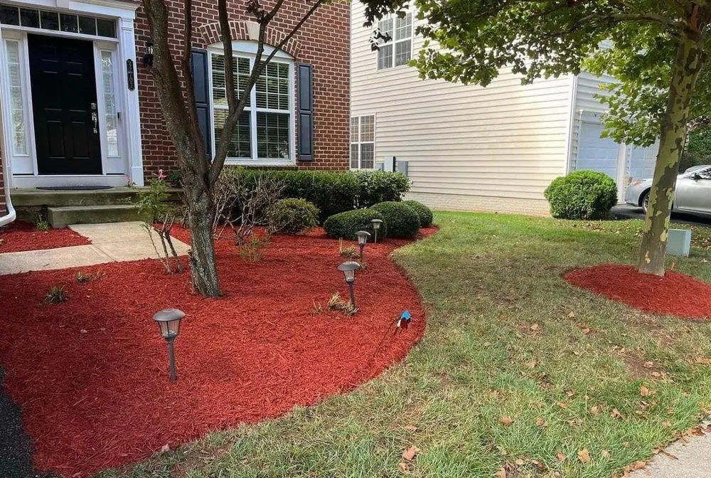 Custom yard cleanup service in Knoxville, TN by Fortenberry's Landscaping