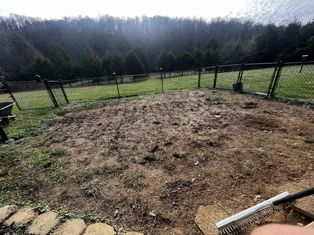 Trusted lawn mowing service for year-round maintenance in Knoxville, TN by Fortenberry's Landscaping