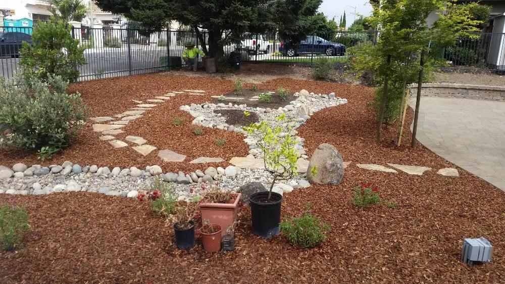 Trusted yard cleanup service in Berkeley, CA by Fortino Alducin Landscaping