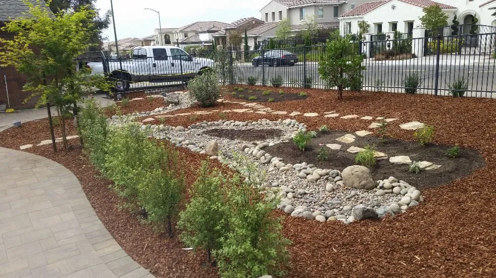 Affordable lawn care service near you in Berkeley, CA by Fortino Alducin Landscaping