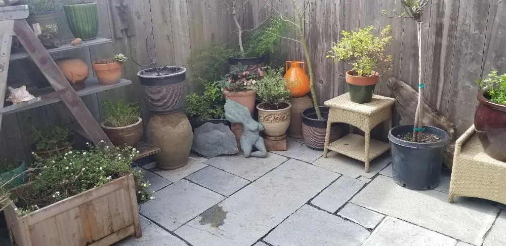 Custom yard maintenance in Berkeley, CA by Fortino Alducin Landscaping