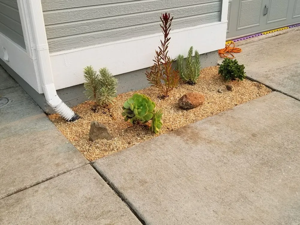 Top-rated landscape design with custom design in Berkeley, CA by Fortino Alducin Landscaping