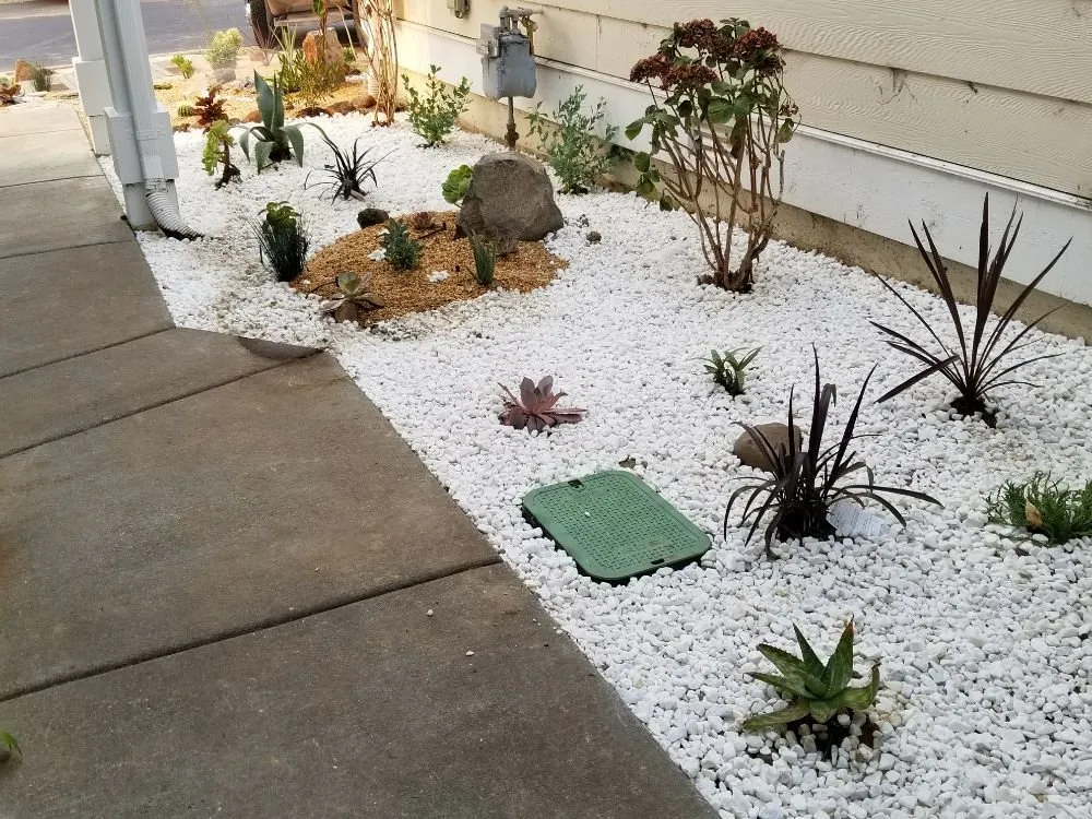 Professional lawn mowing service with custom design in Berkeley, CA by Fortino Alducin Landscaping