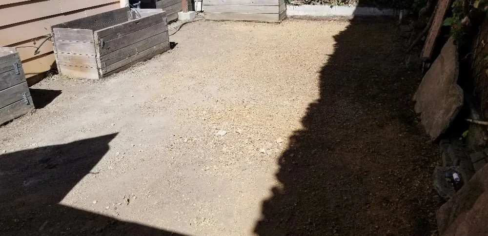 Expert yard cleanup service with custom design in Berkeley, CA by Fortino Alducin Landscaping