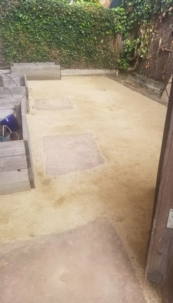 Reliable lawn care service with custom design in Berkeley, CA by Fortino Alducin Landscaping