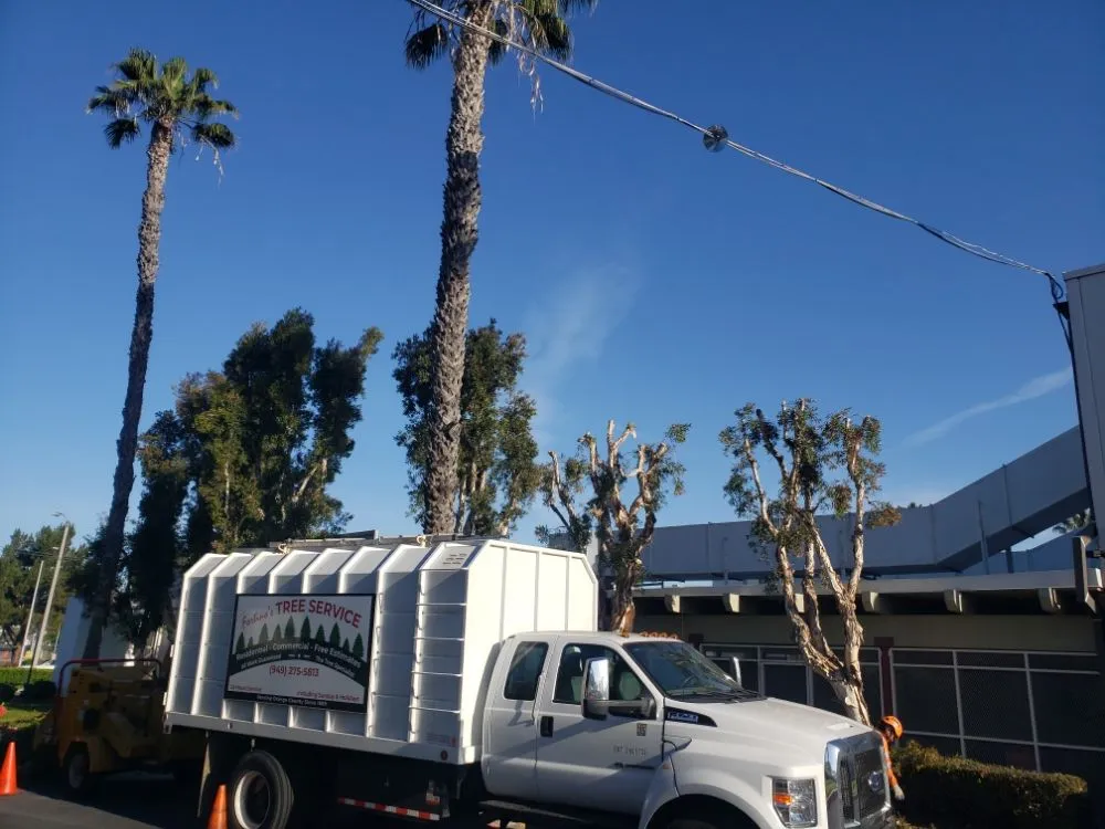 Professional yard cleanup service in Laguna Niguel, CA - Fortino's Landscaping & Tree Service