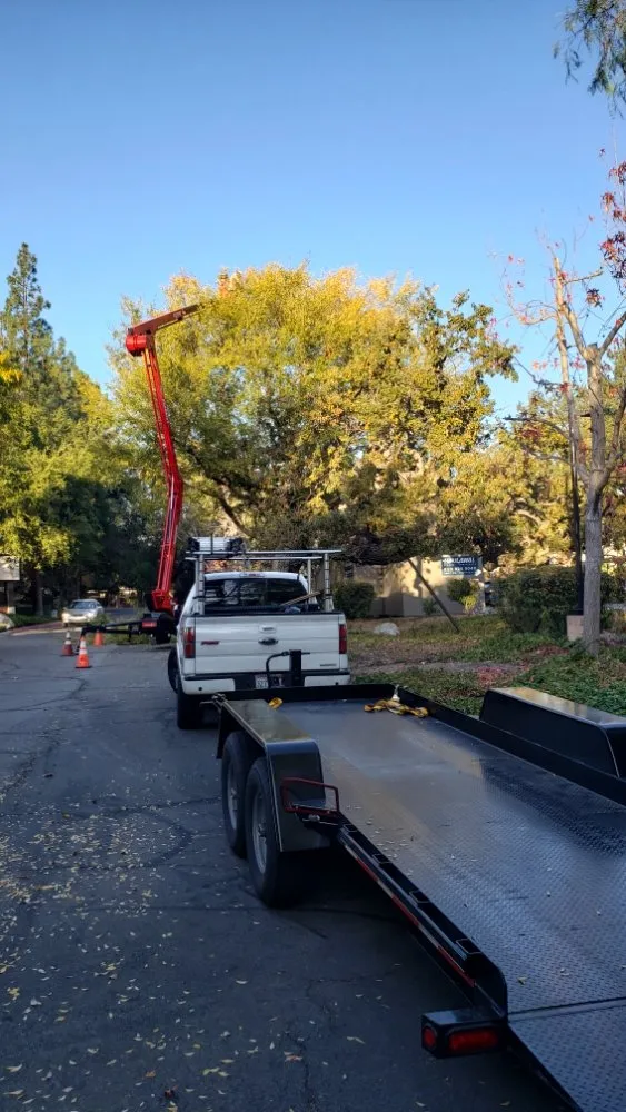 Custom outdoor landscaping with custom design in Laguna Niguel, CA by Fortino's Landscaping & Tree Service