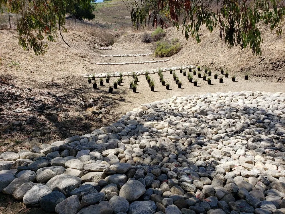 Professional garden landscaping near you across Laguna Niguel, CA - Fortino's Landscaping & Tree Service