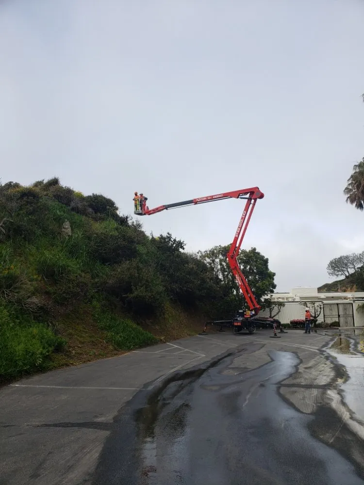 Local landscaping services experts serving Laguna Niguel, CA - Fortino's Landscaping & Tree Service