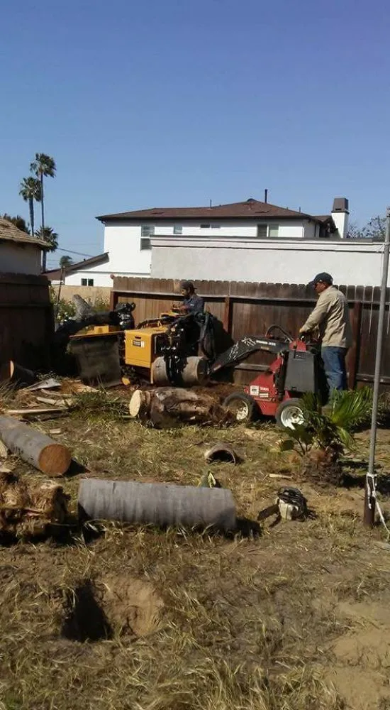 Trusted landscape design for beautiful yards in Laguna Niguel, CA by Fortino's Landscaping & Tree Service