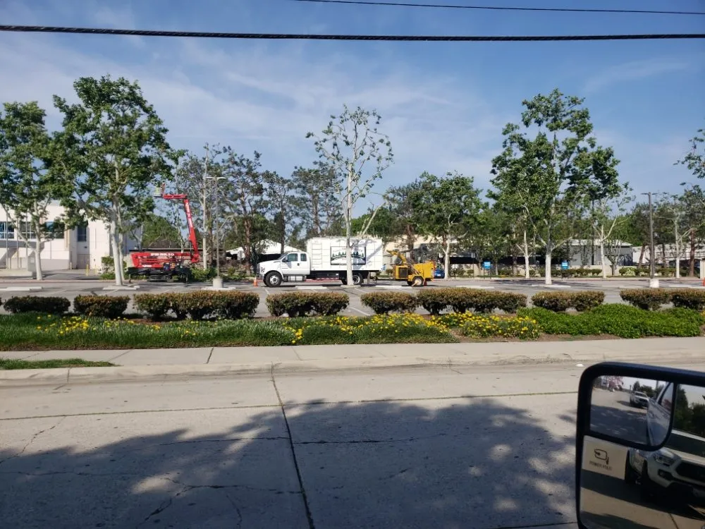 Custom garden landscaping experts serving Laguna Niguel, CA - Fortino's Landscaping & Tree Service