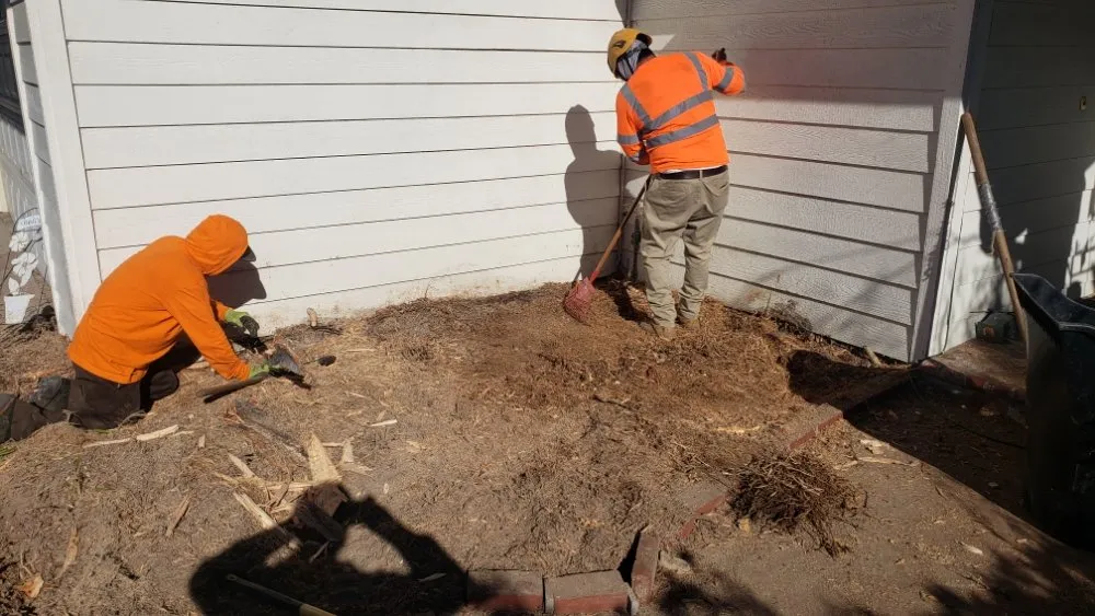 Top-rated outdoor landscaping near you in Laguna Niguel, CA by Fortino's Landscaping & Tree Service