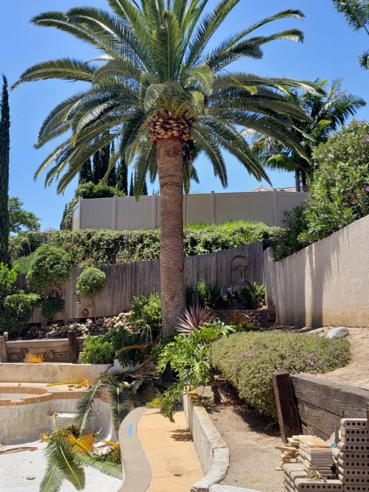 Custom landscaping services experts serving Laguna Niguel, CA - Fortino's Landscaping & Tree Service