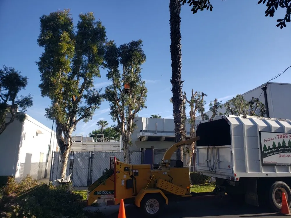 Professional residential landscaping for outdoor upgrades in Laguna Niguel, CA by Fortino's Landscaping & Tree Service