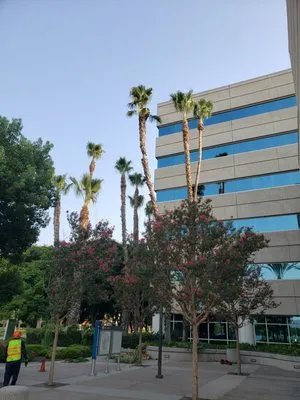 Fortino's Landscaping & Tree Service Logo