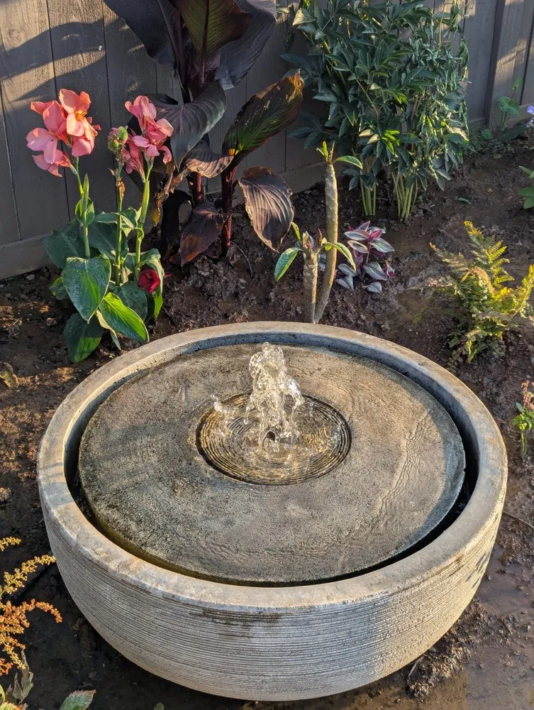 Affordable lawn care service in Plumas Lake, CA - Fortino's Landscaping