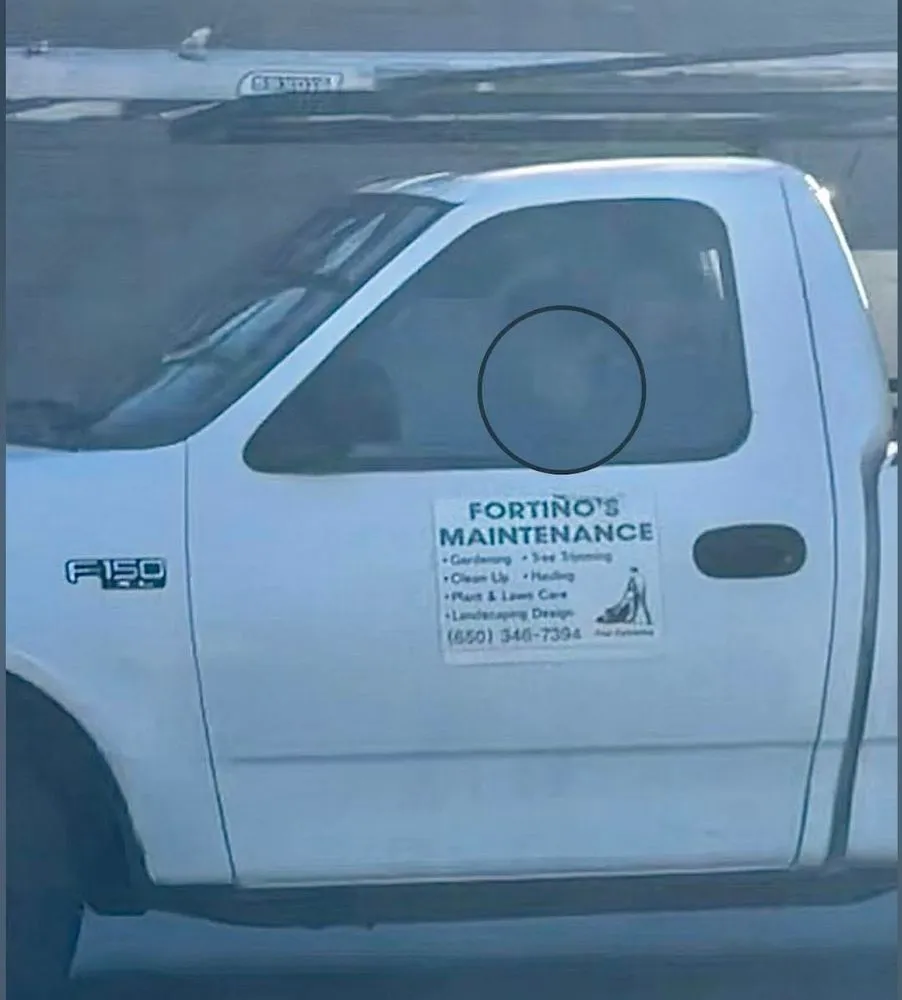 Trusted lawn mowing service for outdoor upgrades in San Mateo, CA by Fortino's Landscaping