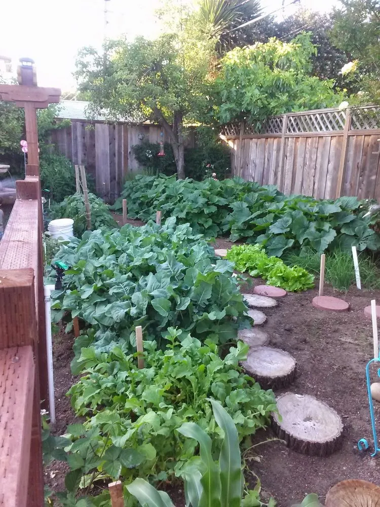 Local yard maintenance for outdoor upgrades in San Mateo, CA by Fortino's Landscaping