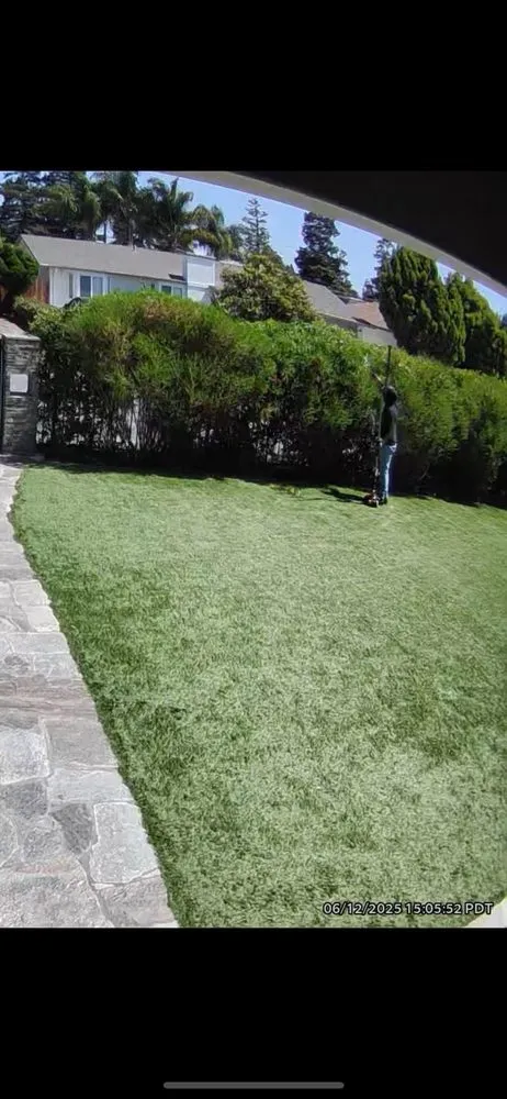 Expert landscape installation for year-round maintenance in San Mateo, CA by Fortino's Landscaping
