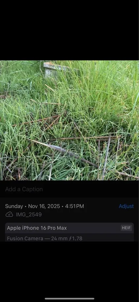 Expert landscaping services in San Mateo, CA - Fortino's Landscaping