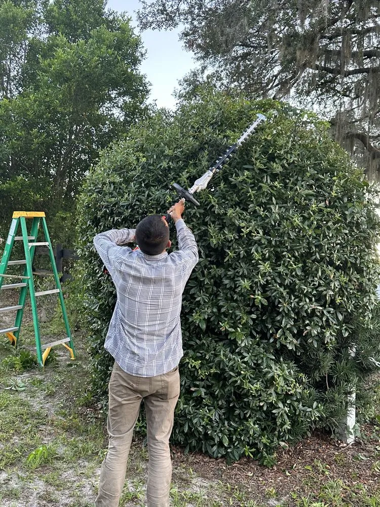 Custom residential landscaping for beautiful yards across Wildwood, FL - Fortino's Landscaping