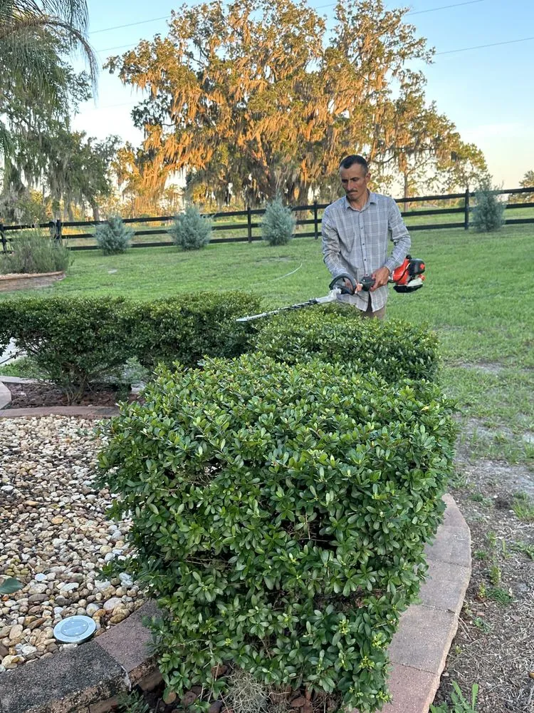 Affordable residential landscaping in Wildwood, FL - Fortino's Landscaping