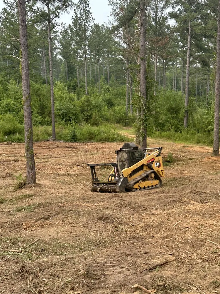 Professional yard maintenance in Dallas, GA by Fortitude Land Management