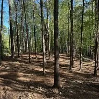 Affordable landscape installation near you in Dallas, GA by Fortitude Land Management