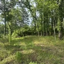 Top-rated landscape installation in Dallas, GA by Fortitude Land Management