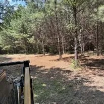 Expert landscape installation for year-round maintenance in Dallas, GA by Fortitude Land Management