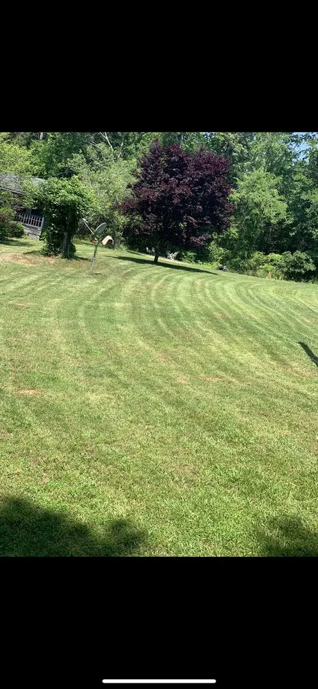 Professional landscaping services experts serving Elberton, GA - Fortson Deluxe