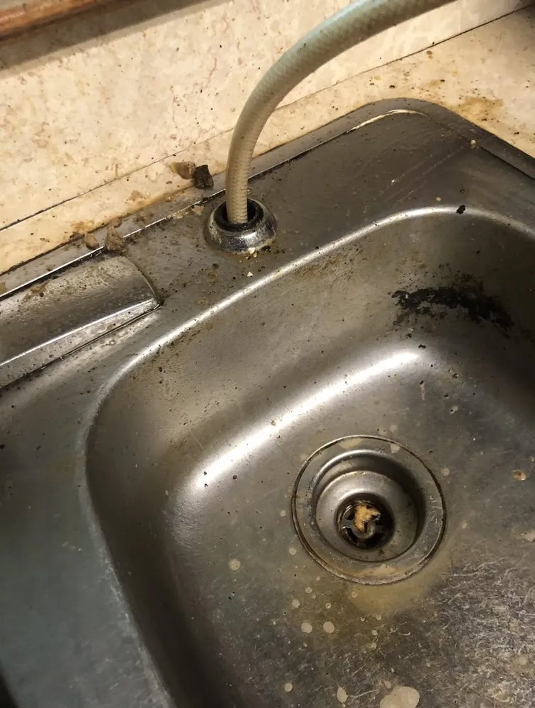 Expert landscape installation in Troy, NY - Fortune 5 Star Shine