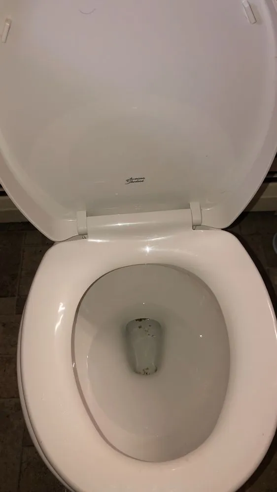 Reliable yard cleanup service for homes across Troy, NY - Fortune 5 Star Shine