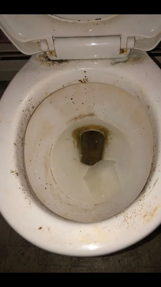 Reliable residential landscaping for beautiful yards across Troy, NY - Fortune 5 Star Shine