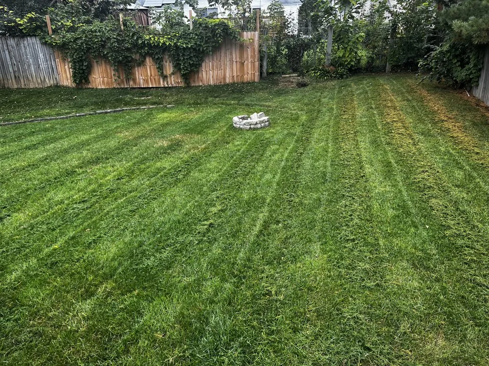 Trusted landscape design experts serving Westland, MI - Fortune Ferns