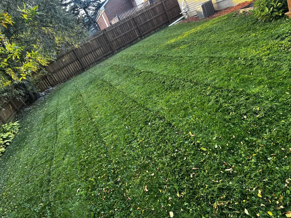 Reliable outdoor landscaping with custom design in Westland, MI by Fortune Ferns