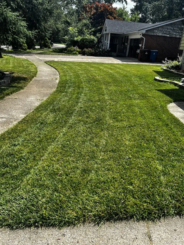 Affordable outdoor landscaping with custom design in Westland, MI by Fortune Ferns