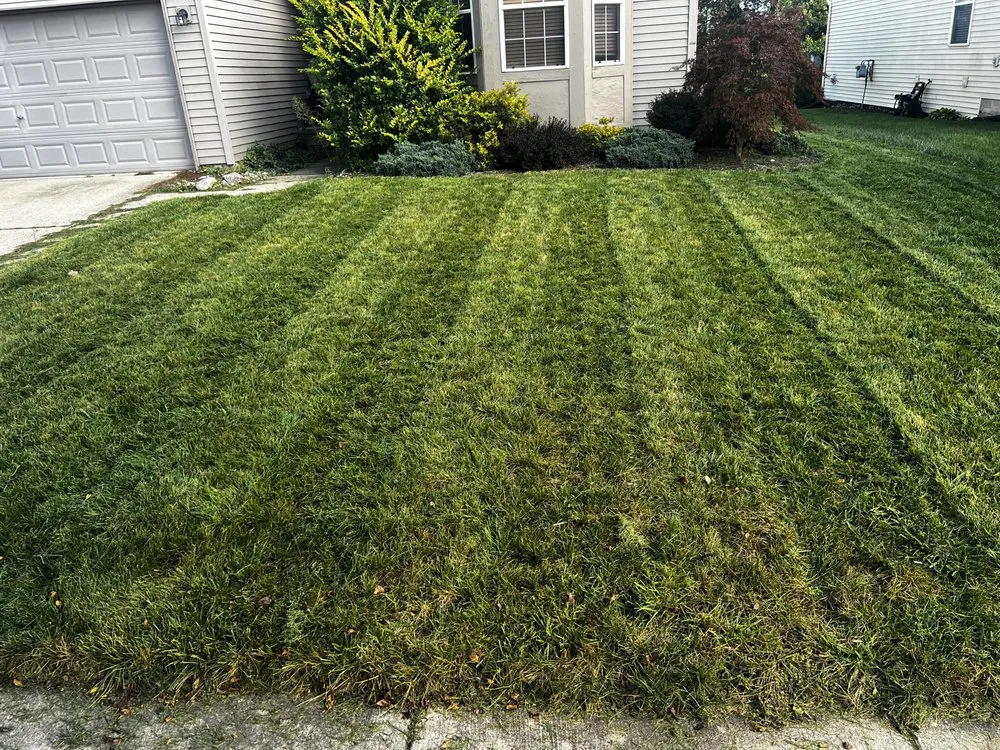 Local lawn mowing service experts serving Westland, MI - Fortune Ferns