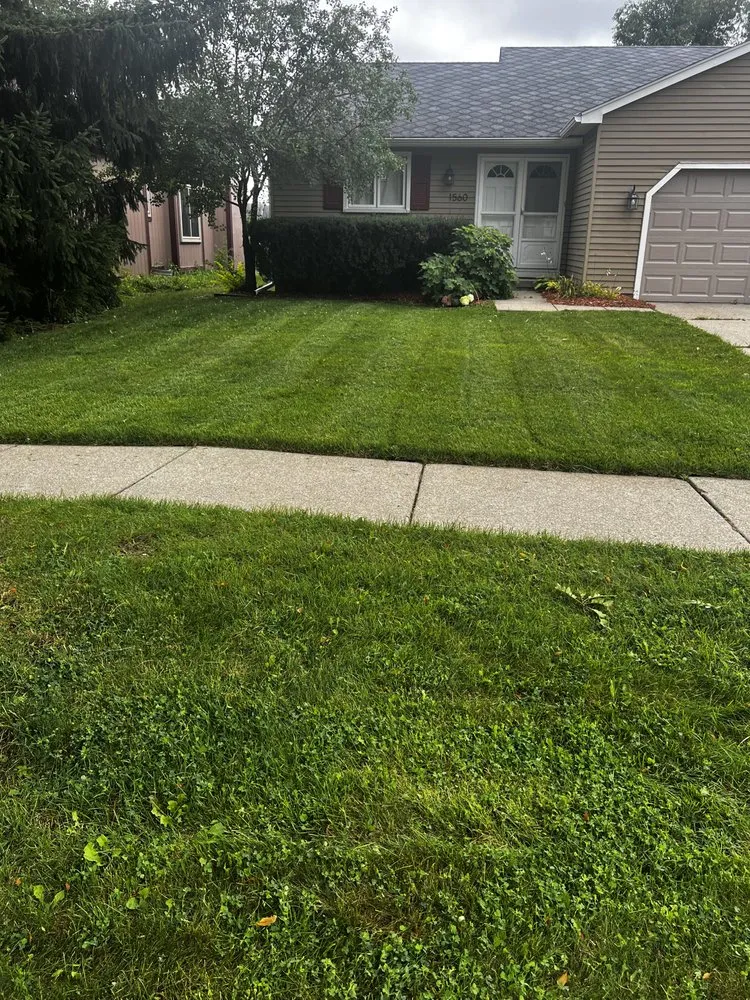 Reliable yard maintenance for residential properties across Westland, MI - Fortune Ferns